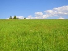 Dossiers terrain et maison écologique choisir un terrain pour construire écologique