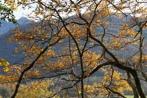 la géobiologie et le feng shui la géobiologie et la construction écologique