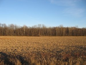 terrain argileux, remblai: importance du sol avant de faire construire la nature du sol et la construction écologique